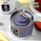 Rechargeable Fruit Juicing Cup- 450mL
