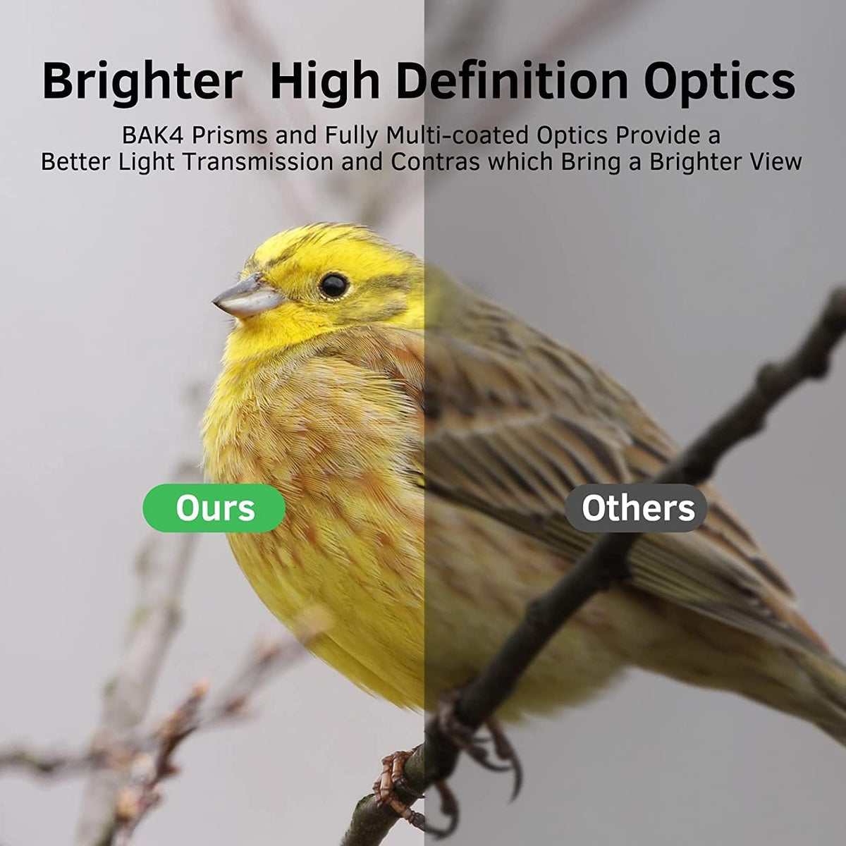 Binocular for Safari - Range 168M/20000M