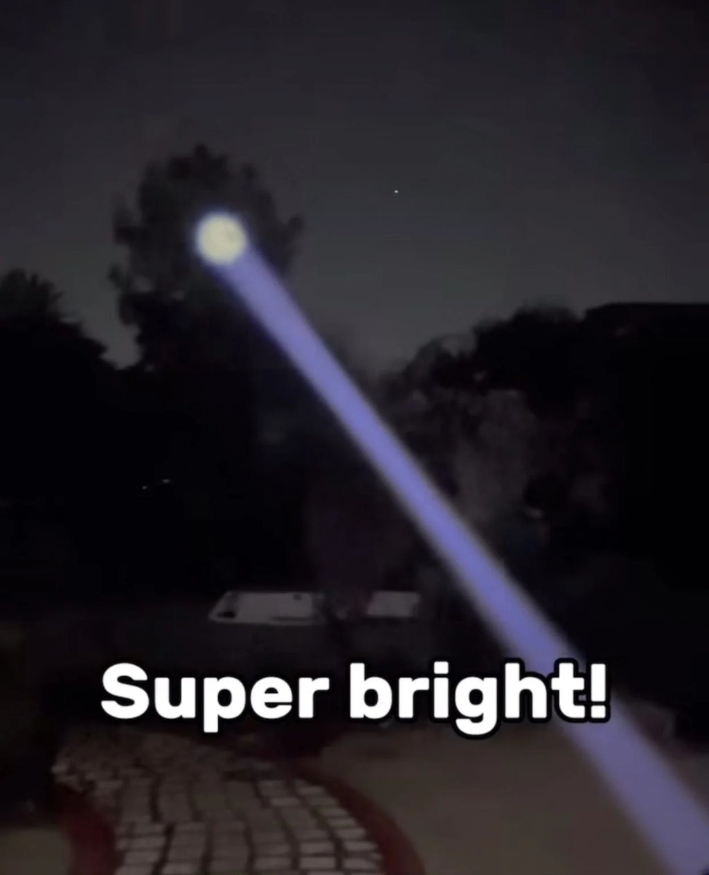 Ruilang Rechargeable LED Torch
