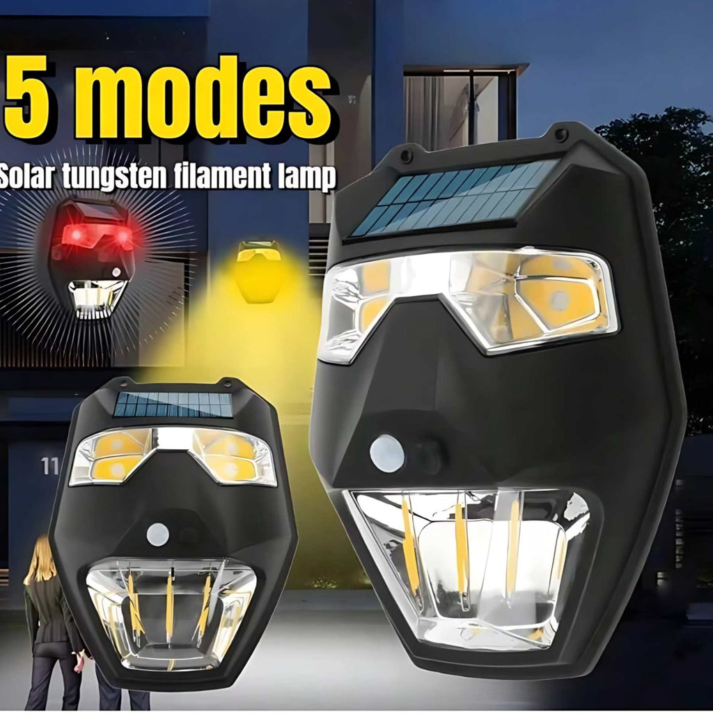 Solar Induction Motion Sensor Light