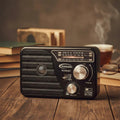 Rechargeable Radio AM/FM & MP3
